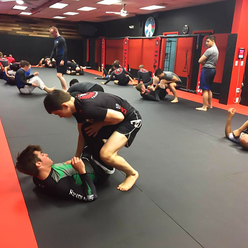 Judo Tatami Mat  Grappling Judo Falling Mat Wrestling  Taekwondo